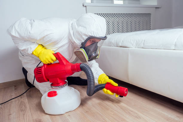 Best Real Estate Pest Inspections  in Livonia, LA